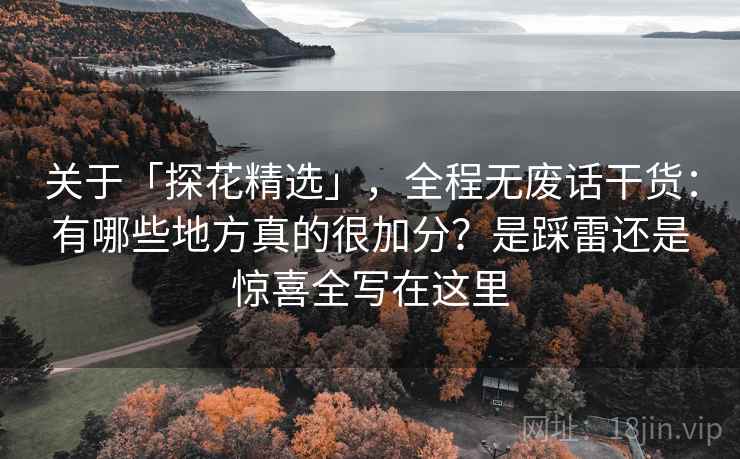 关于「探花精选」，全程无废话干货：有哪些地方真的很加分？是踩雷还是惊喜全写在这里
