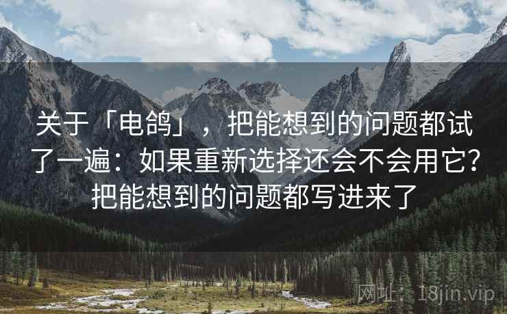 关于「电鸽」，把能想到的问题都试了一遍：如果重新选择还会不会用它？把能想到的问题都写进来了