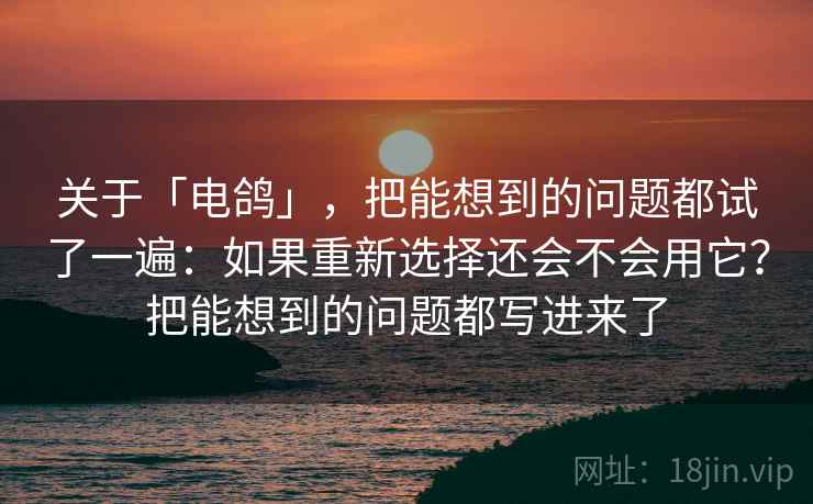 关于「电鸽」，把能想到的问题都试了一遍：如果重新选择还会不会用它？把能想到的问题都写进来了