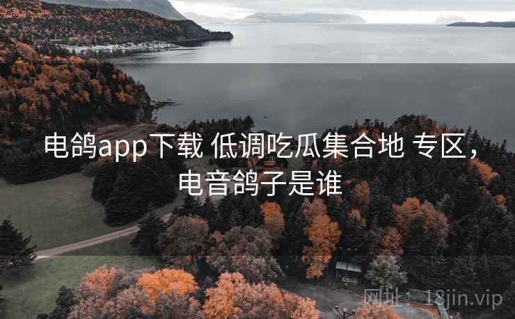 电鸽app下载 低调吃瓜集合地 专区，电音鸽子是谁