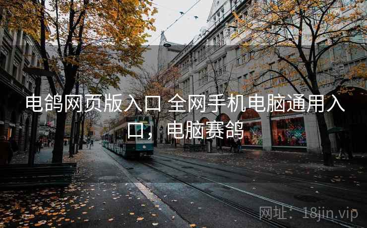 电鸽网页版入口 全网手机电脑通用入口，电脑赛鸽