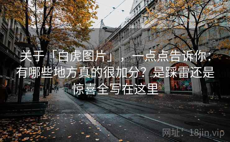 关于「白虎图片」，一点点告诉你：有哪些地方真的很加分？是踩雷还是惊喜全写在这里