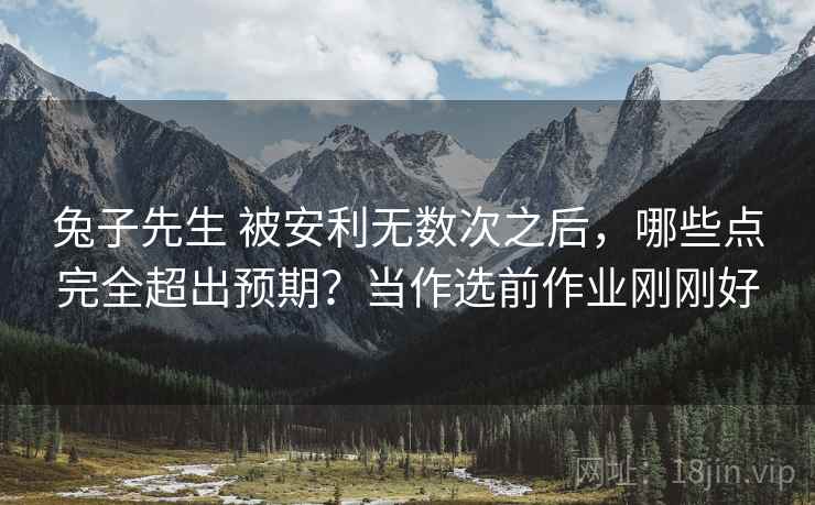 兔子先生 被安利无数次之后，哪些点完全超出预期？当作选前作业刚刚好