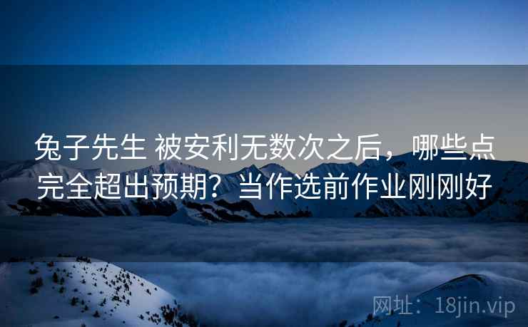 兔子先生 被安利无数次之后，哪些点完全超出预期？当作选前作业刚刚好