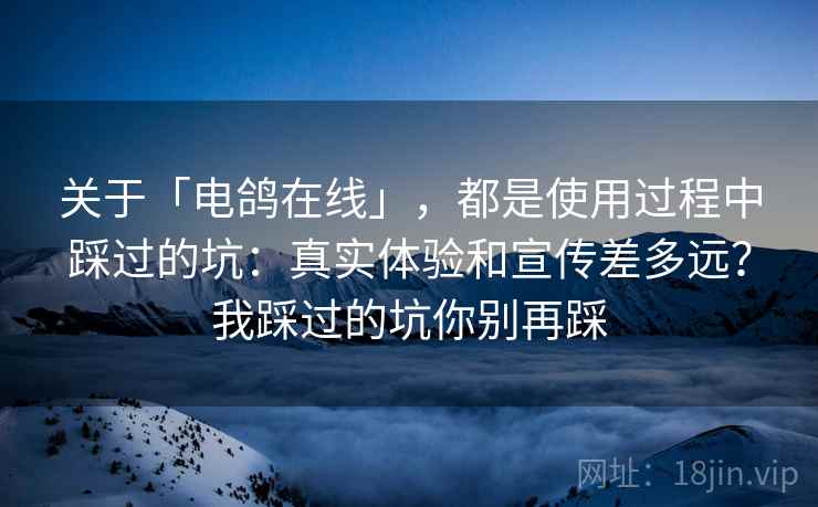 关于「电鸽在线」，都是使用过程中踩过的坑：真实体验和宣传差多远？我踩过的坑你别再踩