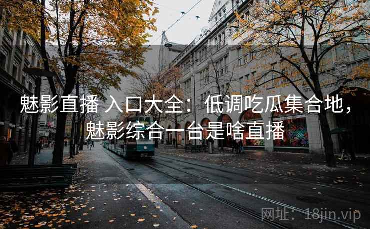 魅影直播 入口大全：低调吃瓜集合地，魅影综合一台是啥直播