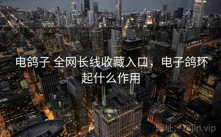 电鸽子 全网长线收藏入口，电子鸽环起什么作用