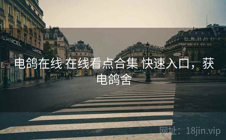 电鸽在线 在线看点合集 快速入口，获电鸽舍