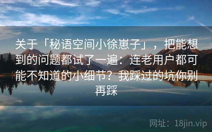 关于「秘语空间小徐崽子」，把能想到的问题都试了一遍：连老用户都可能不知道的小细节？我踩过的坑你别再踩