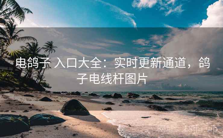 电鸽子 入口大全：实时更新通道，鸽子电线杆图片
