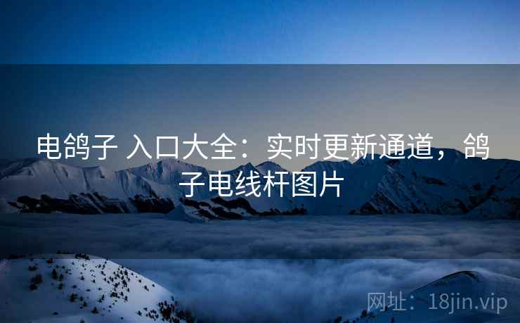 电鸽子 入口大全：实时更新通道，鸽子电线杆图片